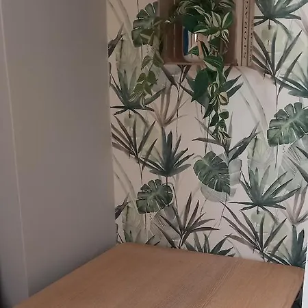 Apartament Hola Piotrkowska