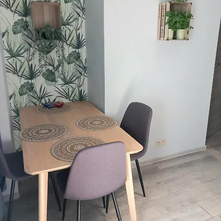 Hola Piotrkowska Apartament *